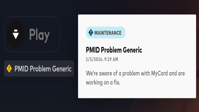 Valorant PMID Temporarily Disabled Explained