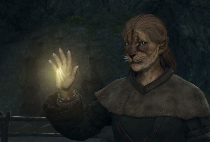 can you change main pawn name in dragons dogma 2