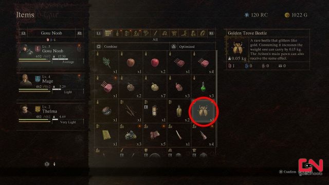 dragons dogma 2 golden trove beetle locations