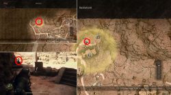 where to find dye merchant in dragons dogma 2