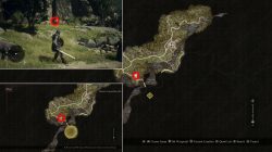 where to find golden trove beetles in dragons dogma 2