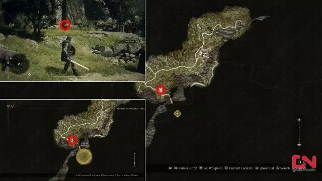 where to find golden trove beetles in dragons dogma 2