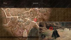 where to find newt liqueur in dragons dogma 2