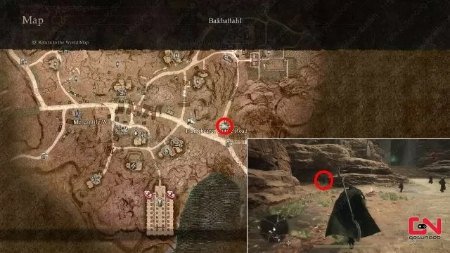 where to find newt liqueur in dragons dogma 2