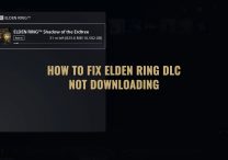 Fix Elden Ring DLC Not Downloading, Shadow of the Erdtree