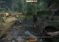 Kingdom Come Deliverance 2 Herbwoman Bozhena Bug Fix