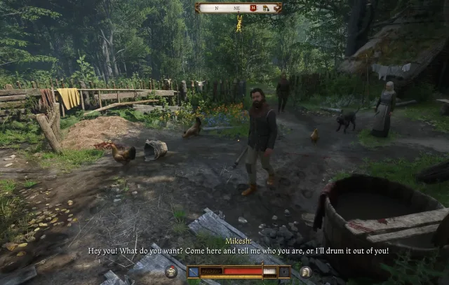 Kingdom Come Deliverance 2 Herbwoman Bozhena Bug Fix 