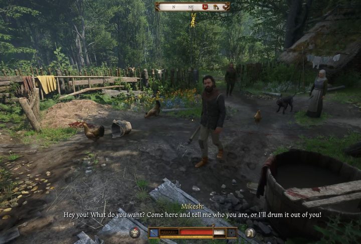 Kingdom Come Deliverance 2 Herbwoman Bozhena Bug Fix