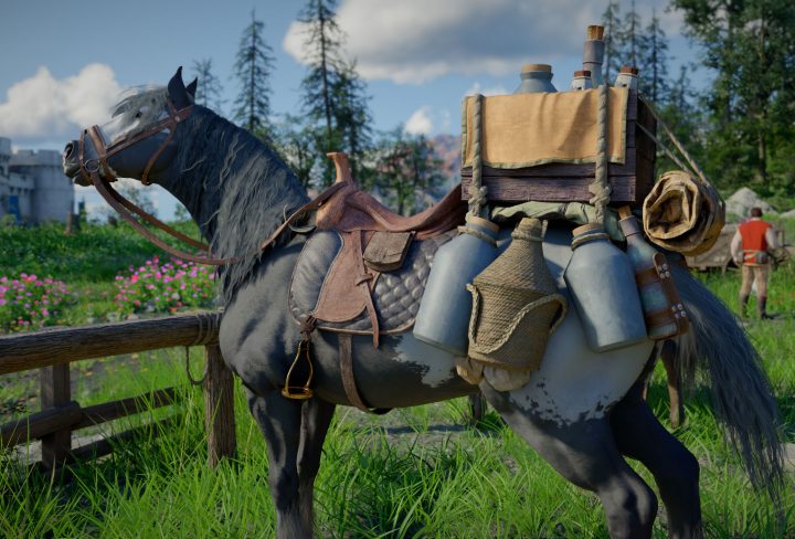 crimson desert how to get horse