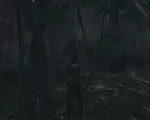 poi_image90 thumbnail