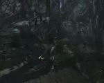 poi_image85 thumbnail