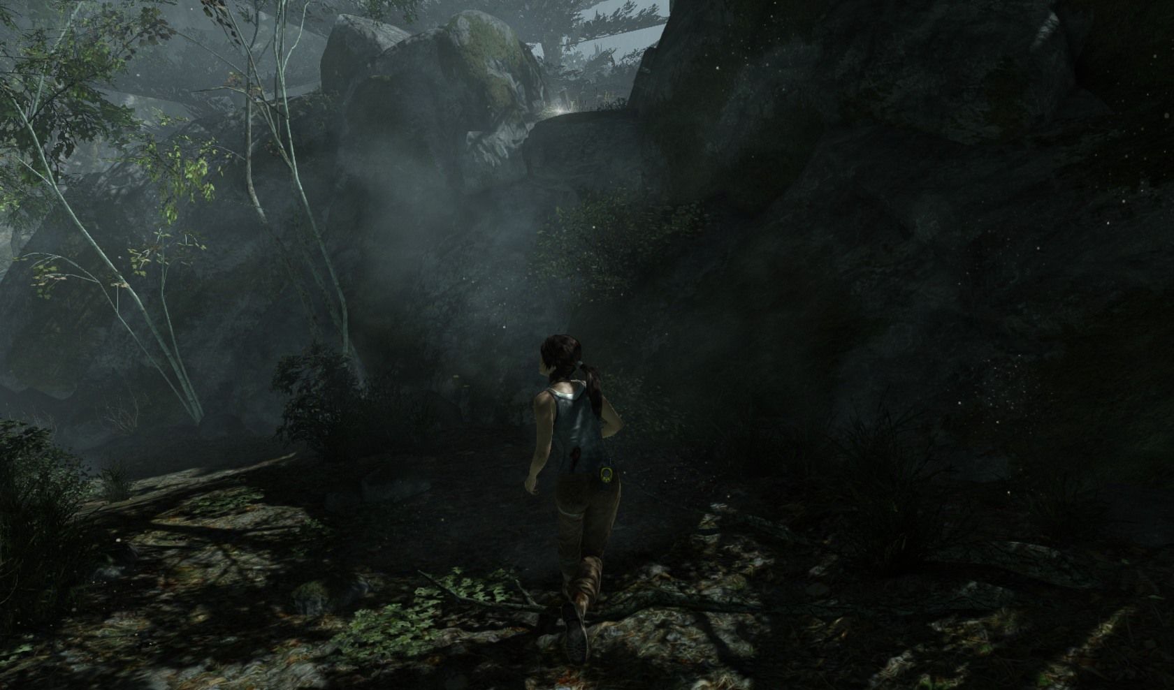 Coastal Forest GPS Cache 1