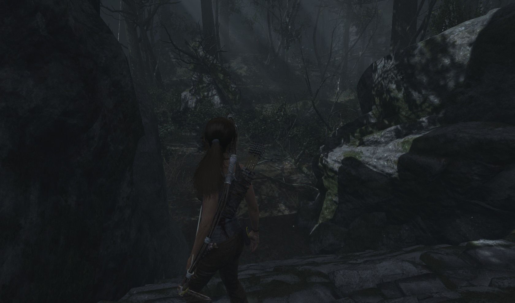 Coastal Forest GPS Cache 4