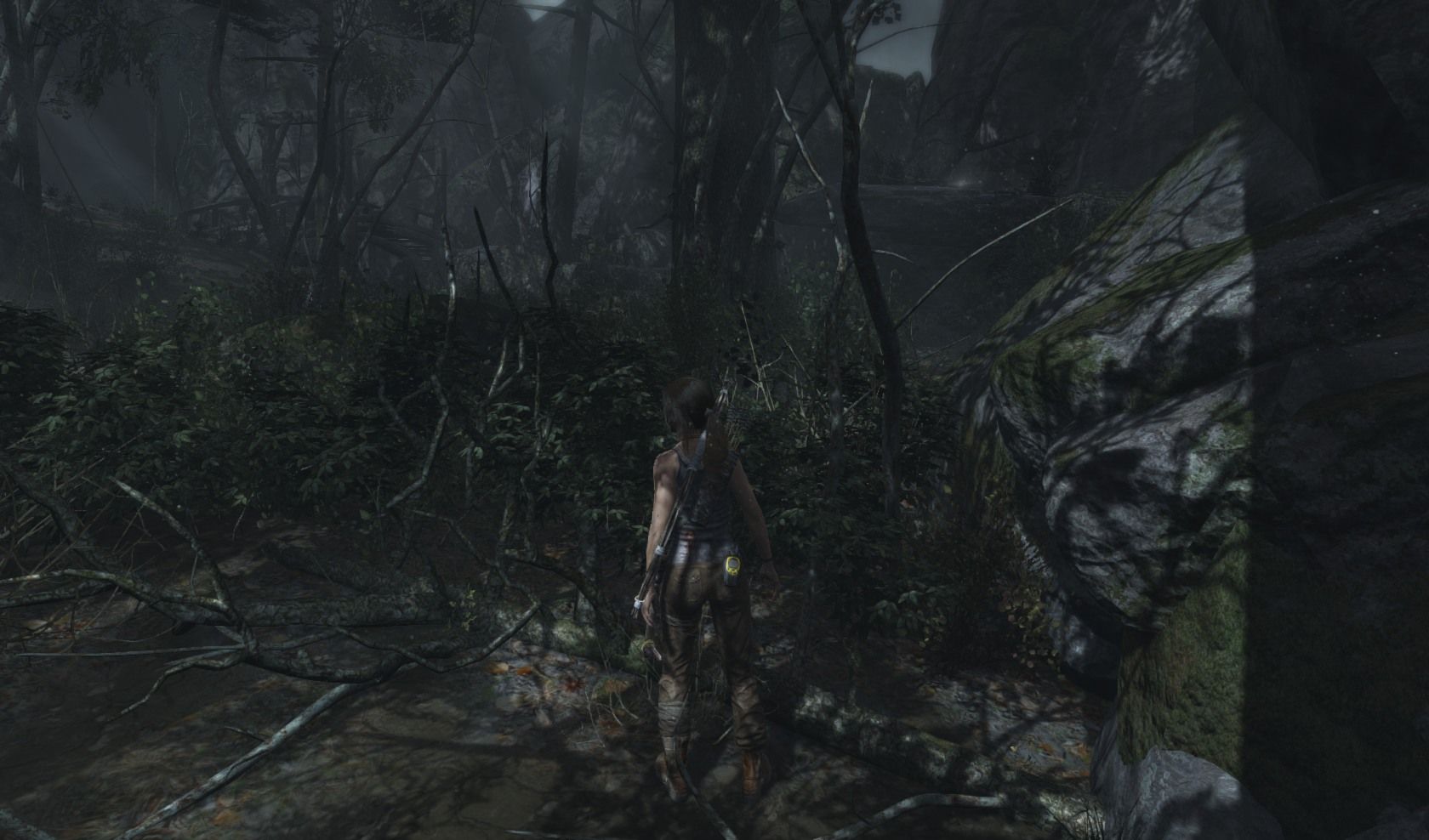 Coastal Forest GPS Cache 4