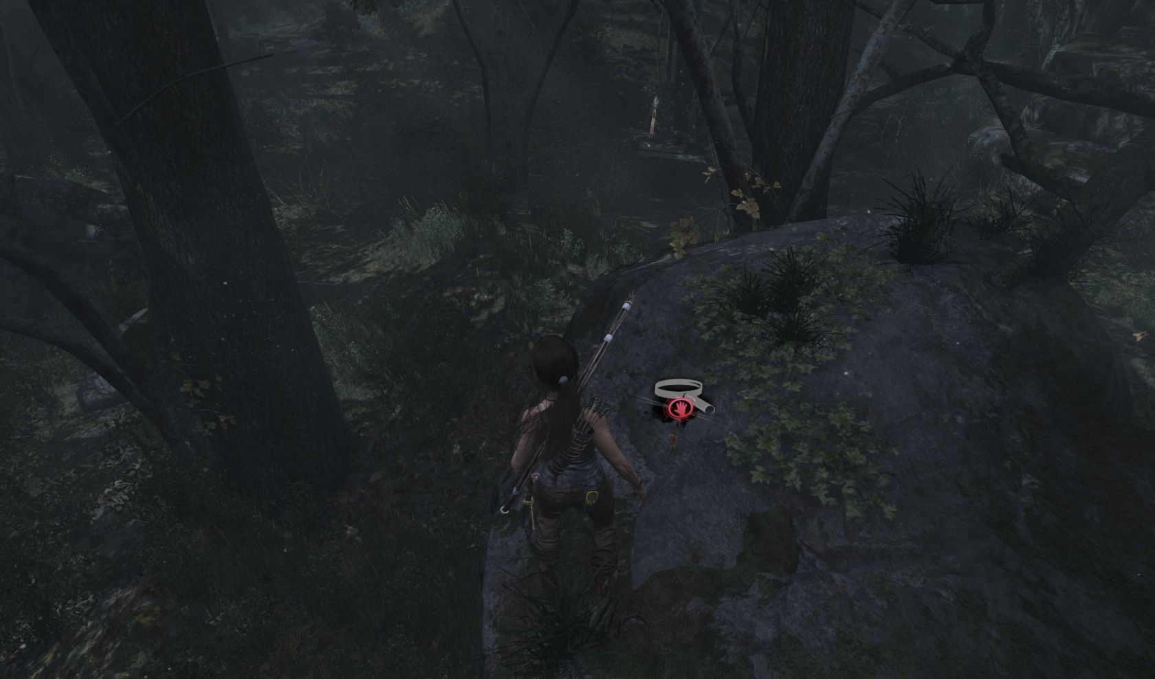 Coastal Forest GPS Cache 4