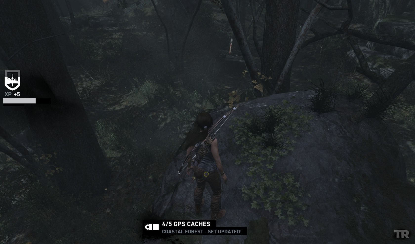 Coastal Forest GPS Cache 4