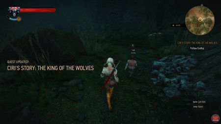 Quest Ciri's Story: The King of the Wolves image 272 middle size