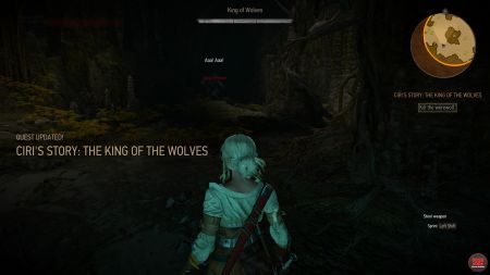 Quest Ciri's Story: The King of the Wolves image 275 middle size