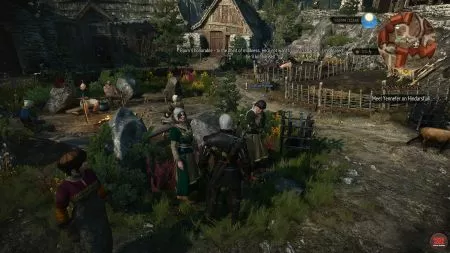 Quest NPC Skellige Woman image 74 middle size