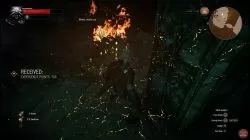 Quest Wandering in the Dark image 221 thumbnail