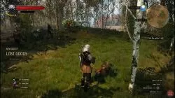 Quest Lost Goods image 158 thumbnail
