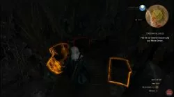 Quest Temerian Valuables image 62 thumbnail