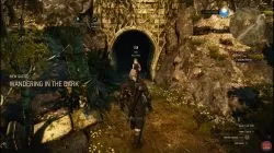 Quest Wandering in the Dark image 219 thumbnail