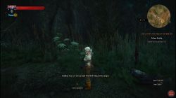 Quest Ciri's Story: The King of the Wolves image 274 thumbnail