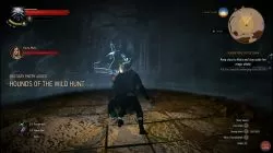 Quest Wandering in the Dark image 170 thumbnail