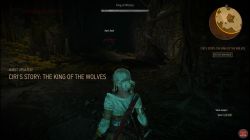 Quest Ciri's Story: The King of the Wolves image 275 thumbnail
