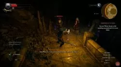 Quest Wandering in the Dark image 165 thumbnail
