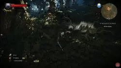 Quest In the Heart of the Woods  image 400 thumbnail
