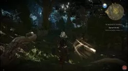 Quest In the Heart of the Woods  image 399 thumbnail