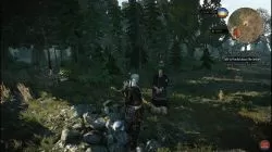 Quest In the Heart of the Woods  image 387 thumbnail