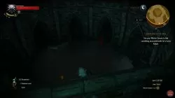 Quest Wandering in the Dark image 166 thumbnail