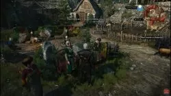 Quest NPC Skellige Woman image 74 thumbnail